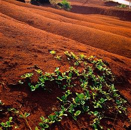 《时空勇士》SF篇介绍 7月22日正式发售
