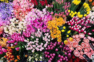 送福利啦！《极限竞速》20周年免费开玩限时开启